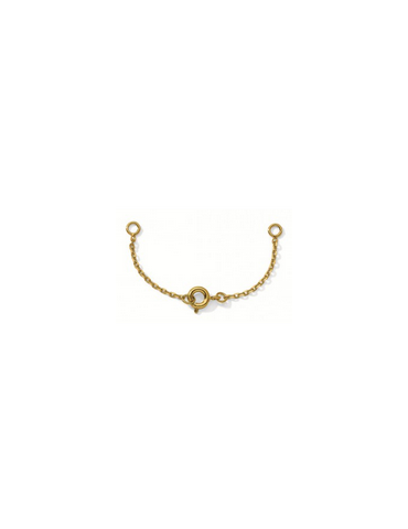 CHAINE SURETE COLLIER PLAQUEE X 5