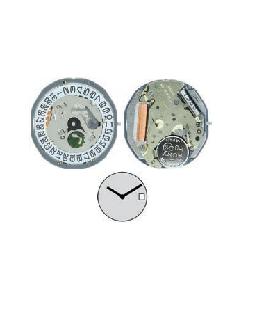 MVT MIYOTA 1L15  GL15