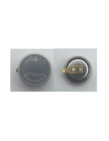 PILES ACCU CITIZEN 295.753